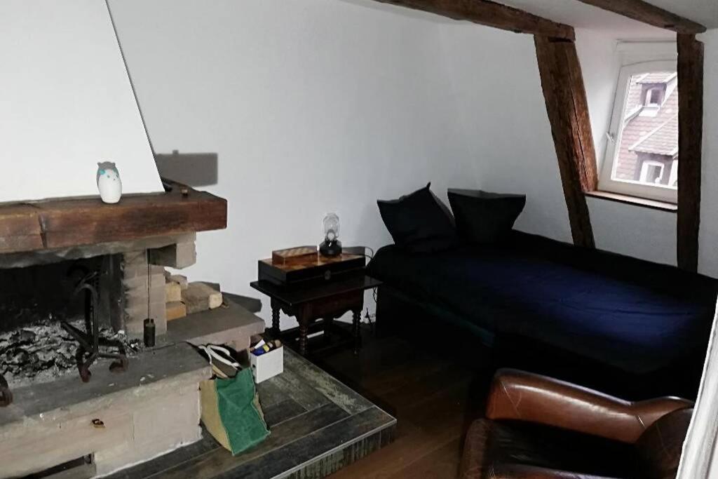 Appartement La Chaumière à Strasbourg Extérieur photo