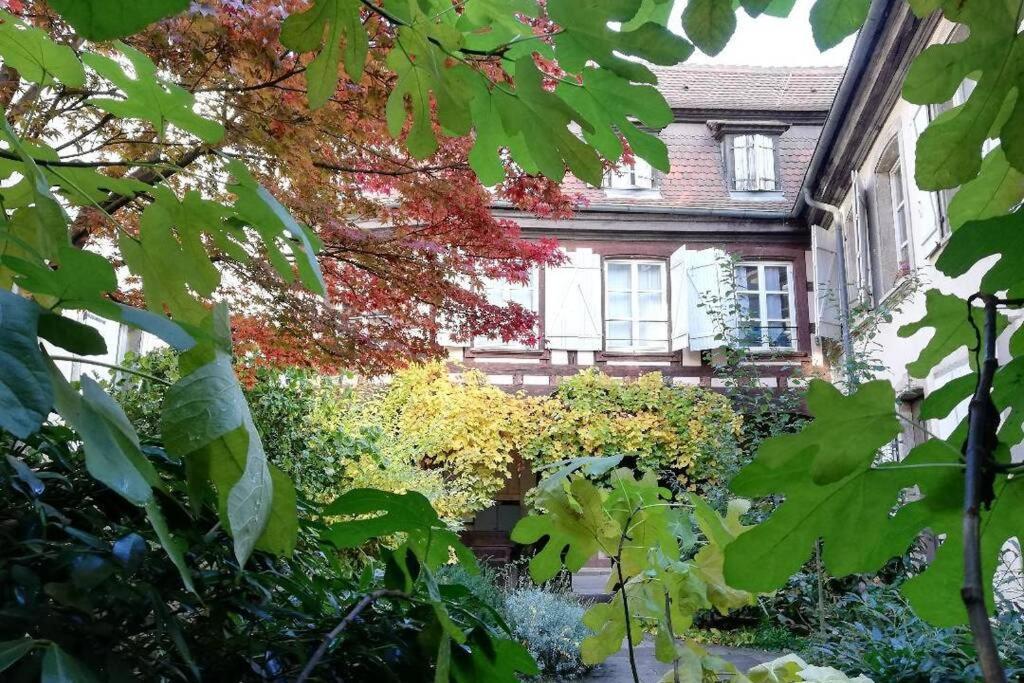 Appartement La Chaumière à Strasbourg Extérieur photo